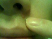 20081116.jpg