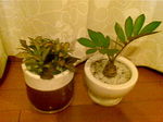 20100621.jpg