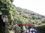 箕面山A.bmp